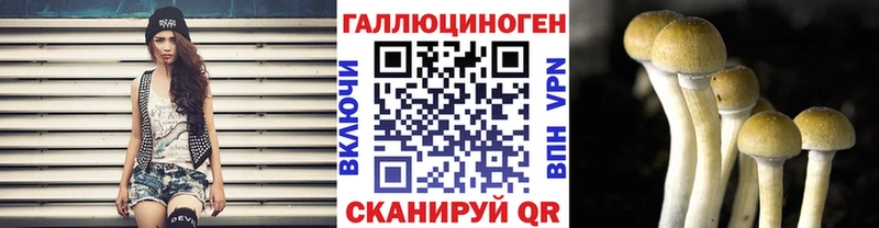 Псилоцибиновые грибы Psilocybine cubensis  Купить  Белокуриха 