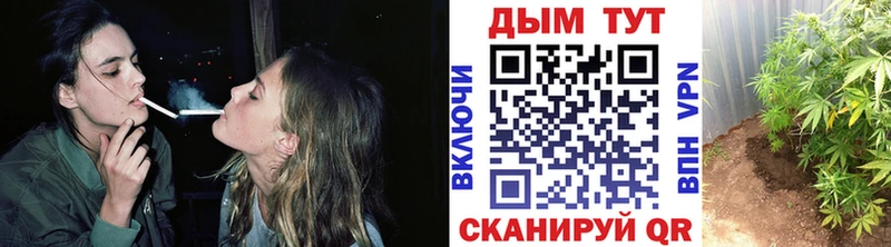 Бошки марихуана тримм  Купить  Белокуриха 